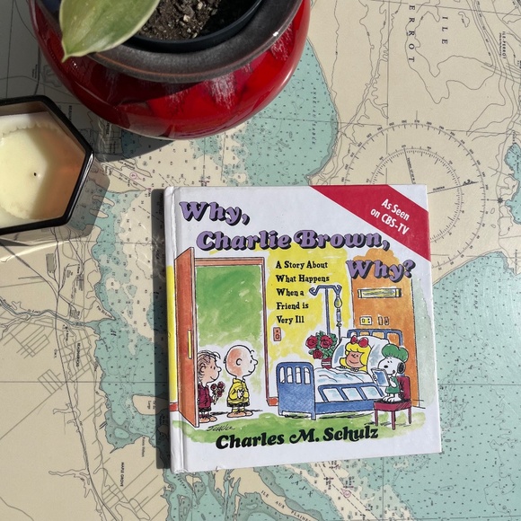 Vintage 1990 Why, Charlie Brown, Why? Book by Charles M. Schulz - Picture 1 of 8